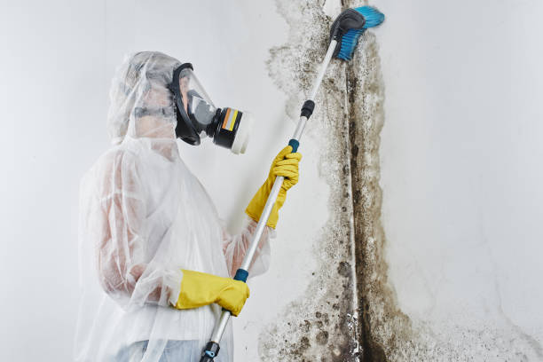 Best Residential Mold Removal  in North Industry, OH