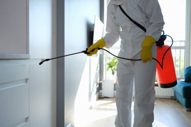 Best Emergency Mold Removal  in North Industry, OH