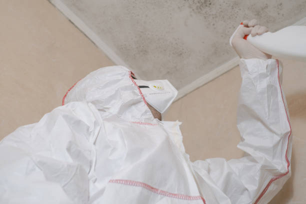 Best Toxic Mold Removal  in North Industry, OH