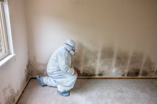 Best Residential Mold Removal  in North Industry, OH