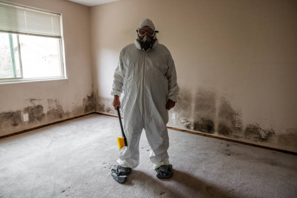 Best Mold Damage Repair  in North Industry, OH